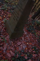 an1_009244.jpg