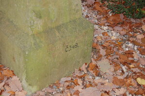 an1_009245.jpg