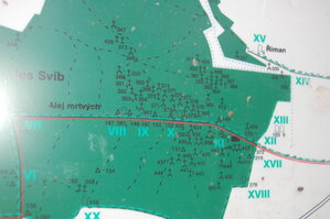 an1_009248.jpg
