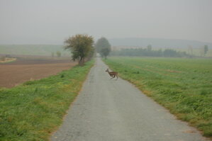 an1_009272.jpg