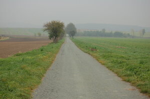 an1_009273.jpg