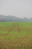 an1_009278.jpg