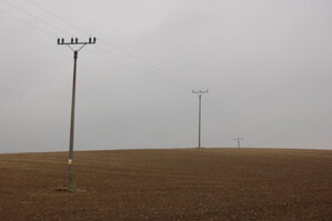 an1_009281.jpg