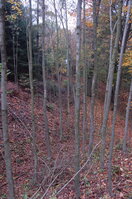 an1_009289.jpg