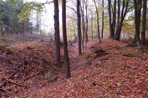 an1_009294.jpg
