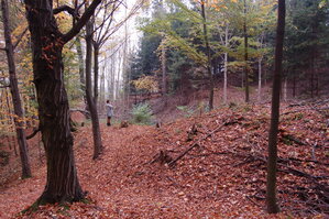 an1_009296.jpg