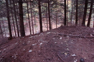 an1_009298.jpg