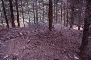 an1_009299.jpg