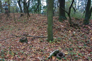 an1_009301.jpg