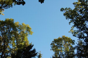 an1_009309.jpg