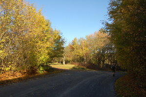 an1_009314.jpg