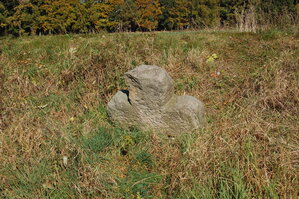 an1_009316.jpg