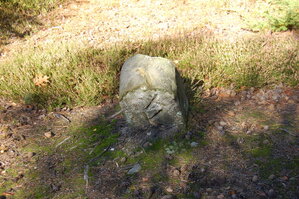 an1_009320.jpg
