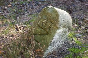 an1_009321.jpg