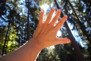 an1_009322.jpg