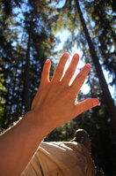 an1_009324.jpg