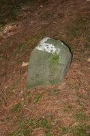 an1_009327.jpg