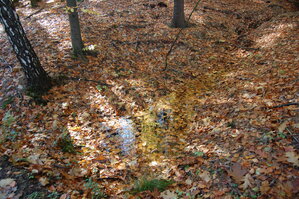 an1_009328.jpg