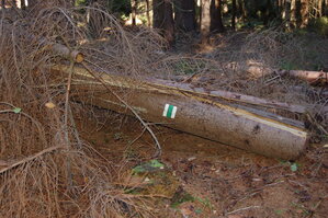 an1_009329.jpg