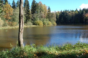 an1_009331.jpg