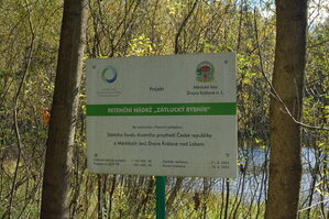 an1_009333.jpg