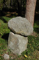 an1_009334.jpg