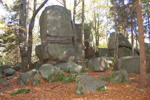 an1_009337.jpg