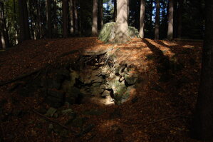 an1_009340.jpg