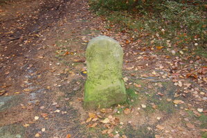 an1_009343.jpg