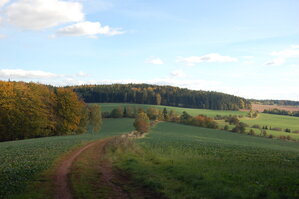 an1_009344.jpg
