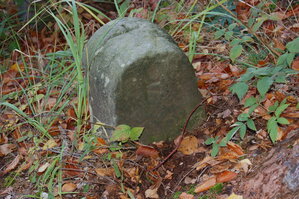 an1_009352.jpg