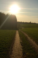 an1_009372.jpg