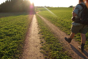 an1_009373.jpg