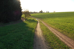 an1_009374.jpg