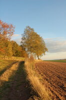 an1_009376.jpg