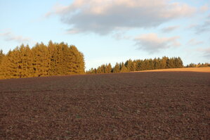 an1_009381.jpg