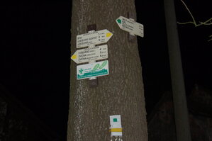 an1_009390.jpg