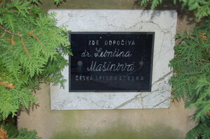 an1_009397.jpg