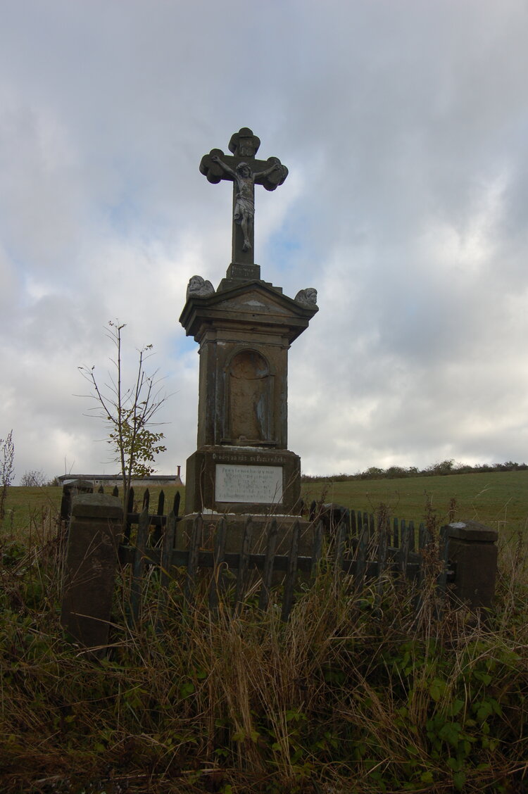 an1_009496.jpg