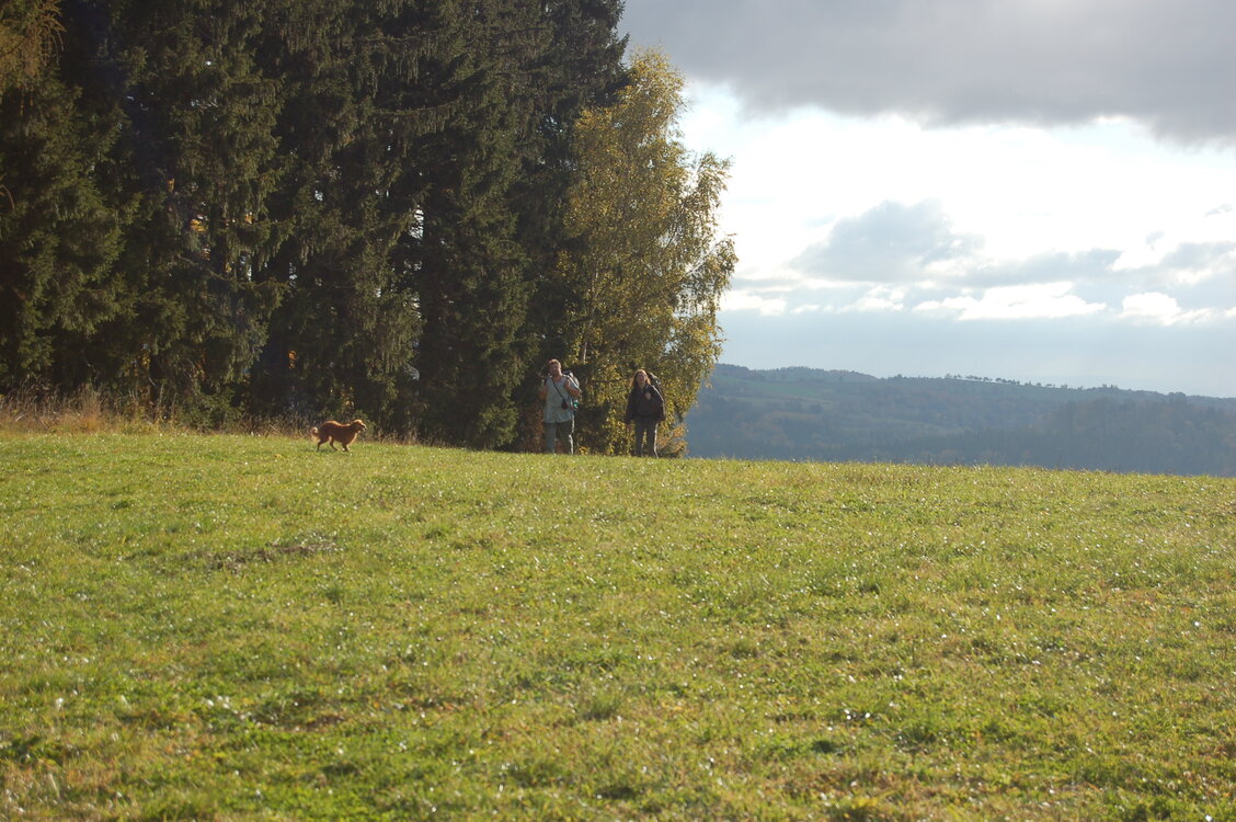 an1_009506.jpg
