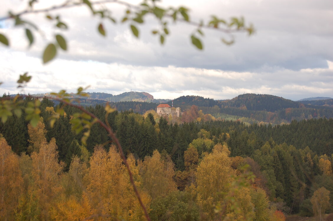 an1_009511.jpg
