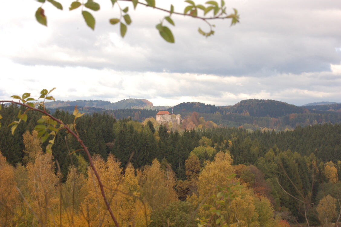 an1_009512.jpg
