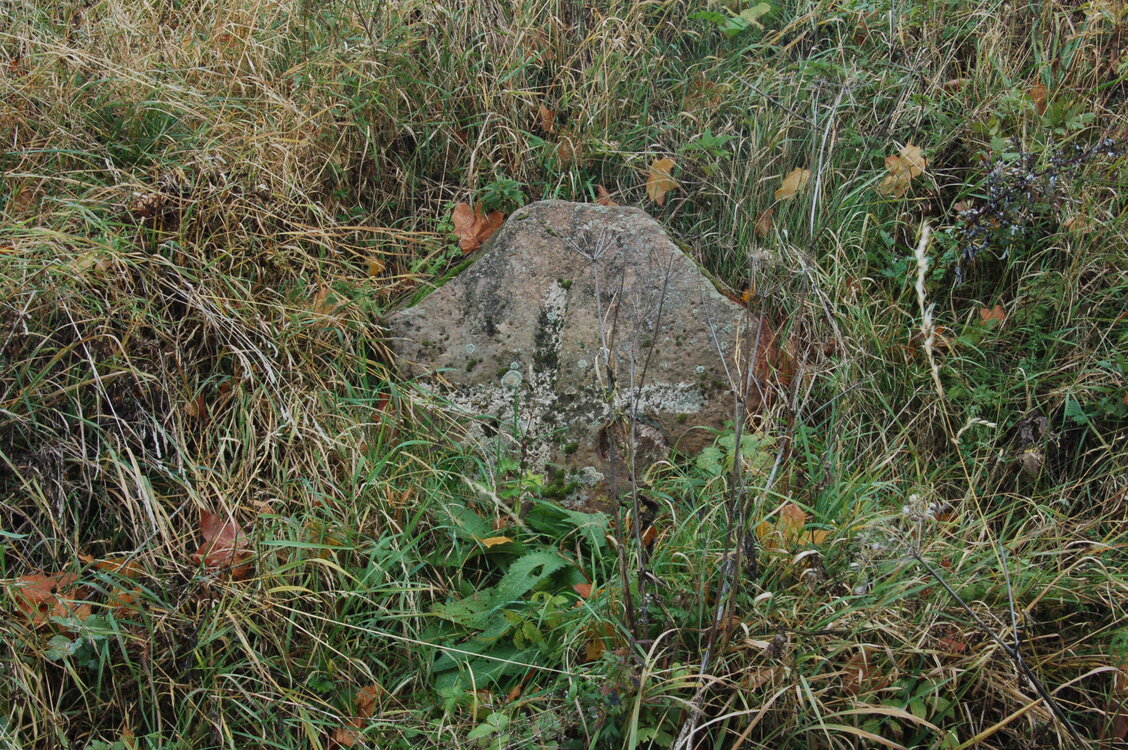 an1_009513.jpg
