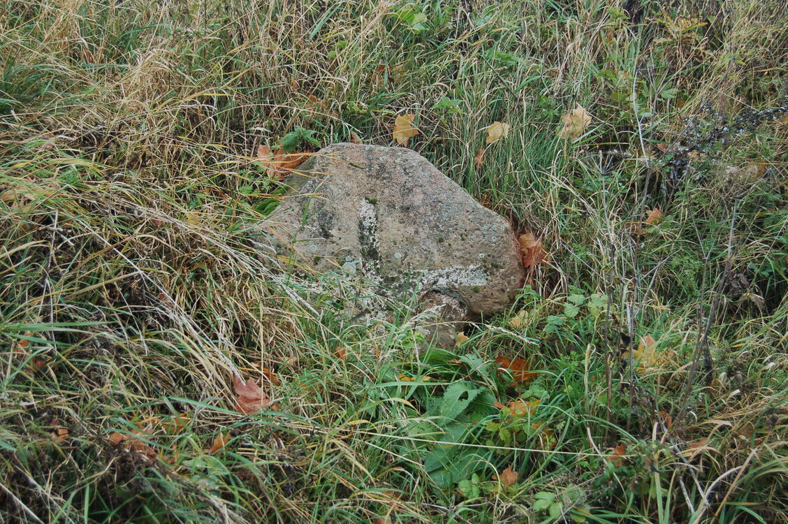 an1_009515.jpg