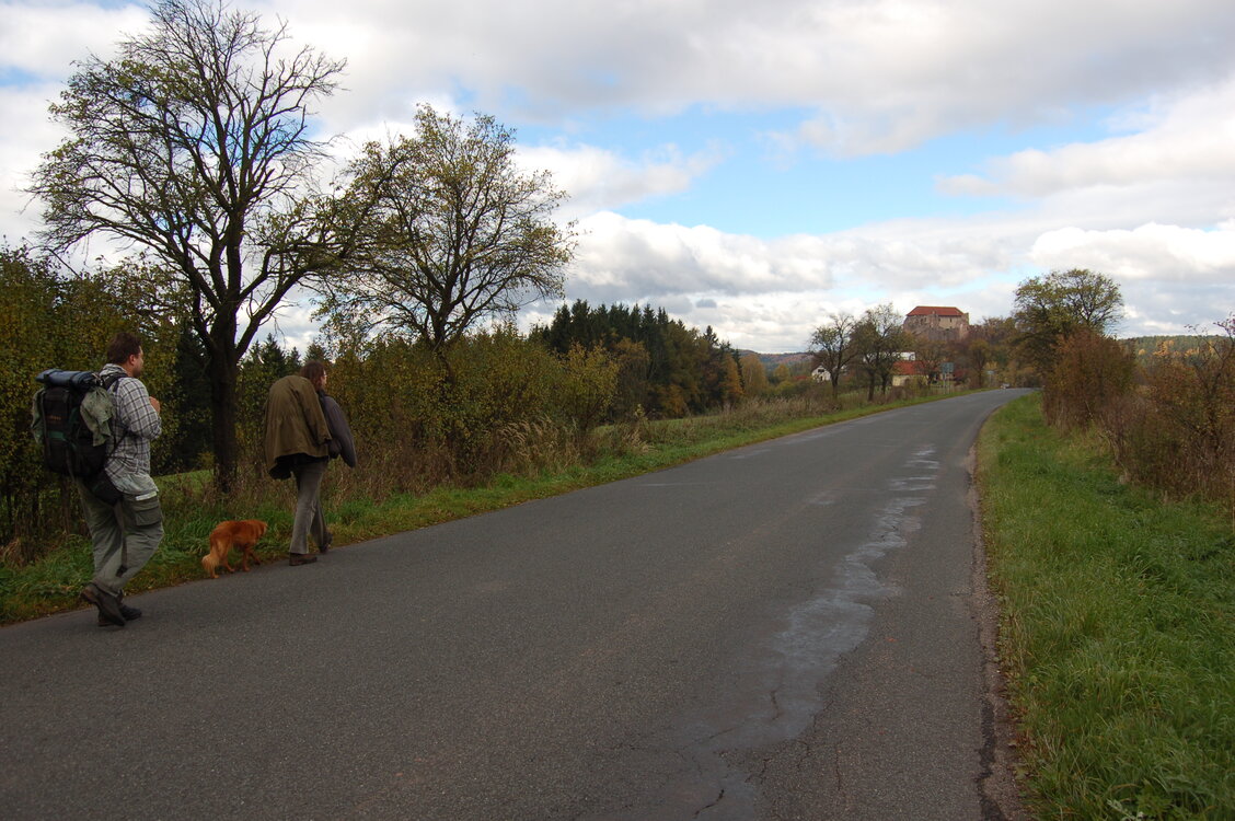 an1_009516.jpg