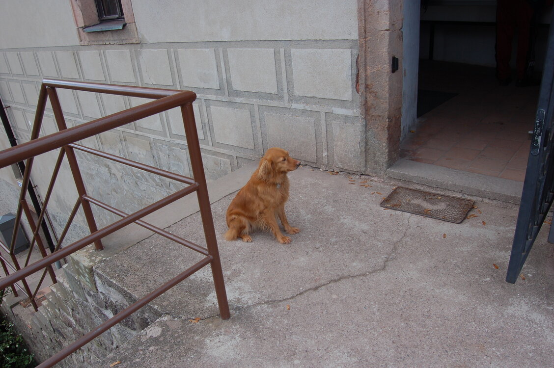 an1_009519.jpg