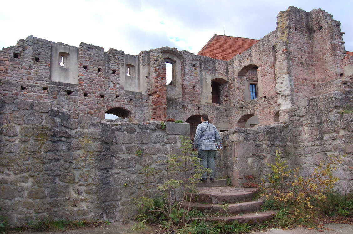 an1_009526.jpg
