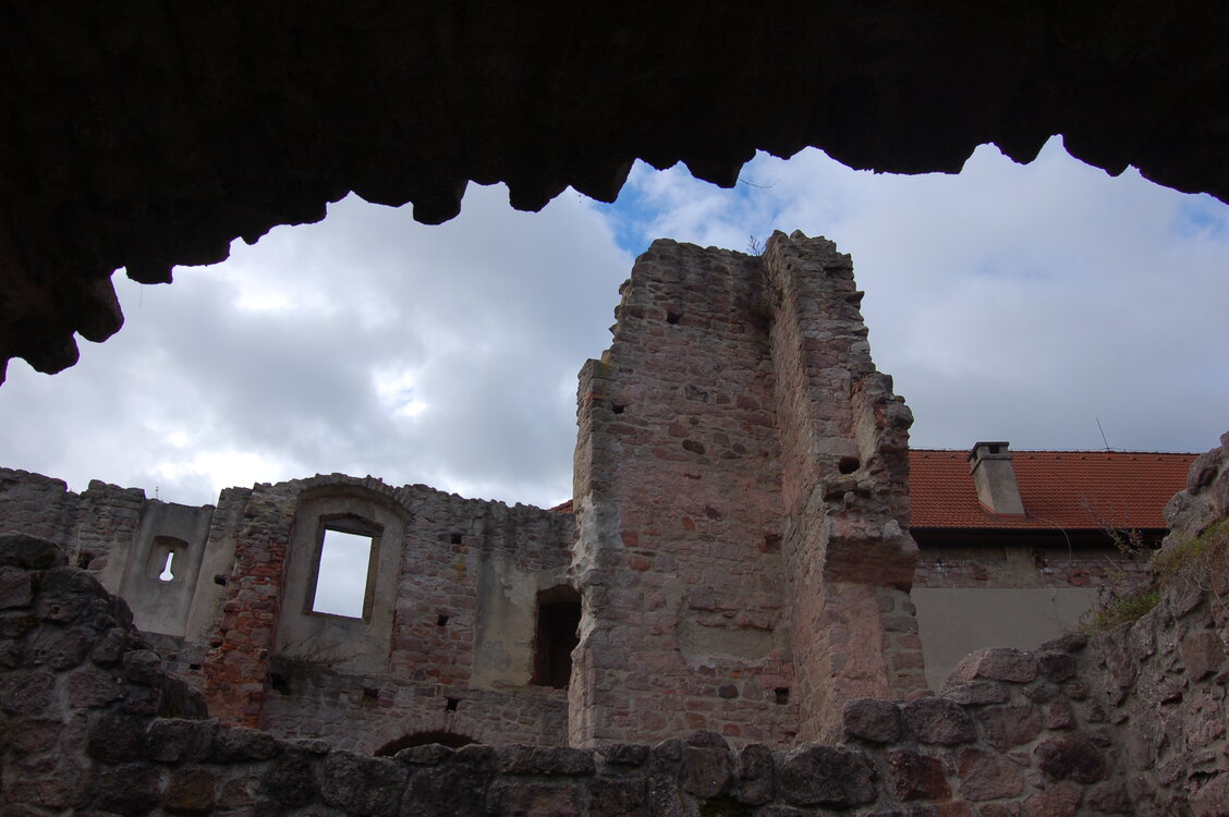 an1_009527.jpg
