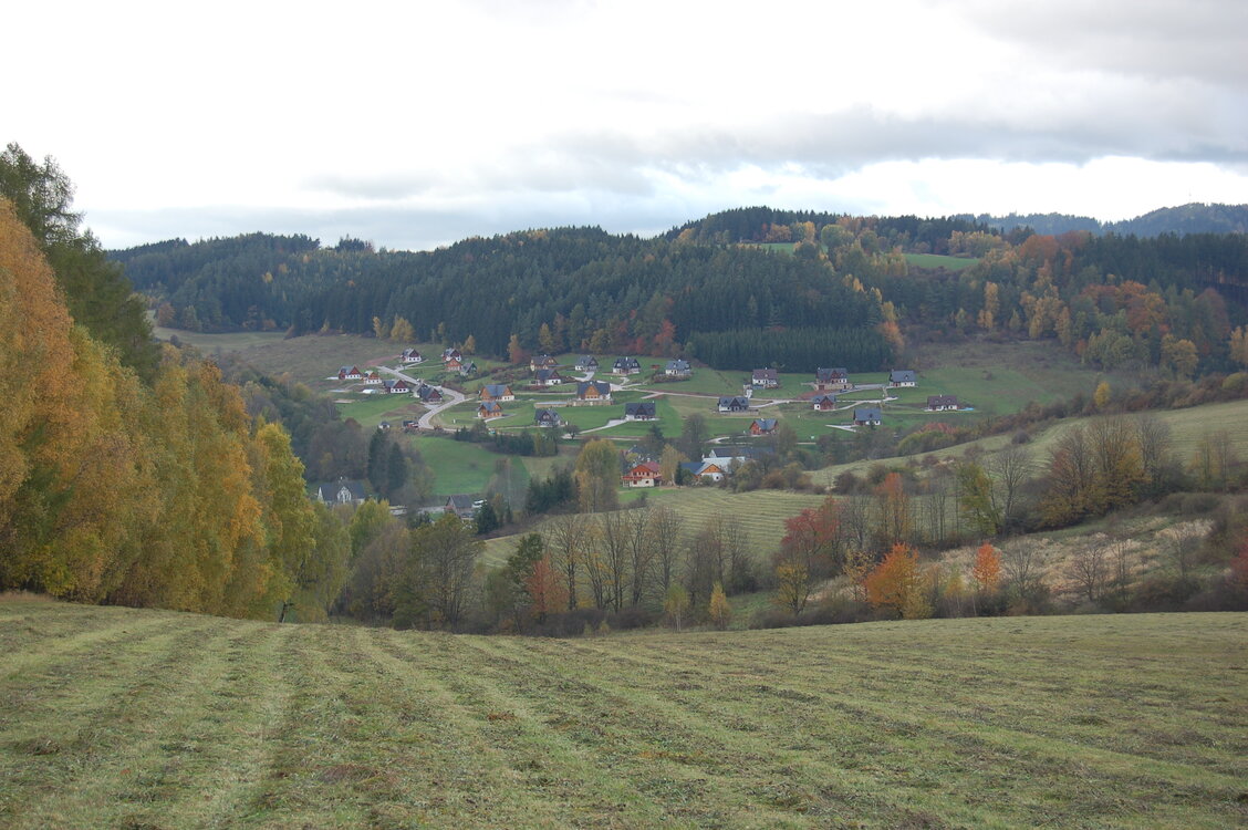 an1_009538.jpg
