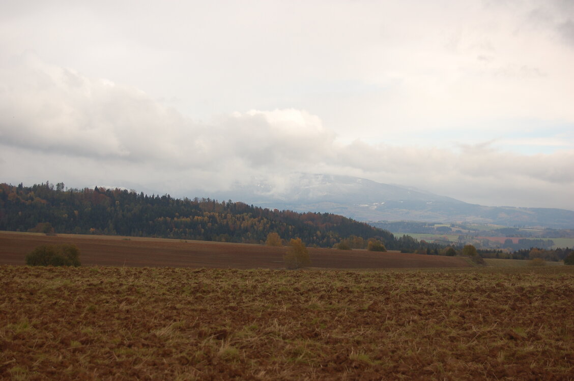 an1_009552.jpg
